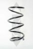 SPIDAN 85434 Coil Spring